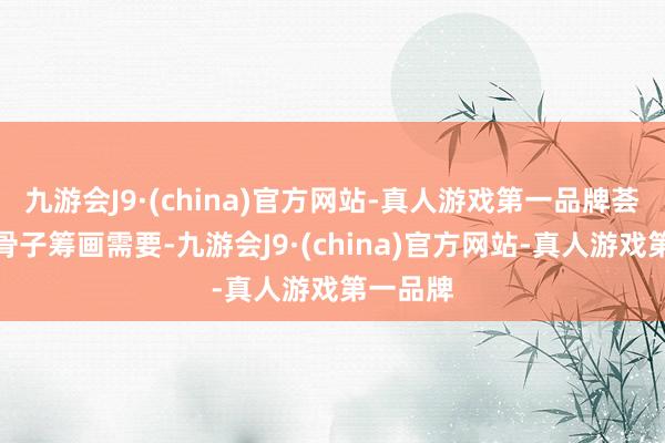 九游会J9·(china)官方网站-真人游戏第一品牌荟萃公司骨子筹画需要-九游会J9·(china)官方网站-真人游戏第一品牌