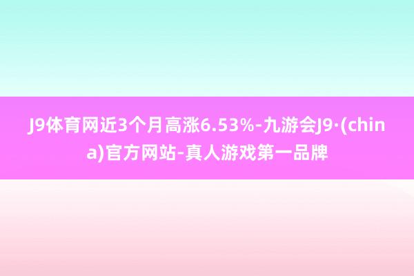 J9体育网近3个月高涨6.53%-九游会J9·(china)官方网站-真人游戏第一品牌