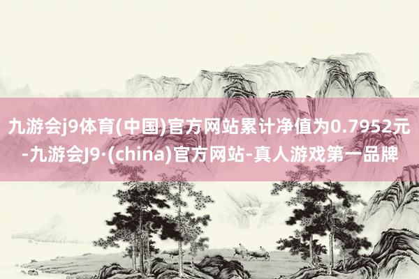 九游会j9体育(中国)官方网站累计净值为0.7952元-九游会J9·(china)官方网站-真人游戏第一品牌