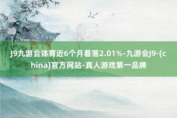 J9九游会体育近6个月着落2.01%-九游会J9·(china)官方网站-真人游戏第一品牌