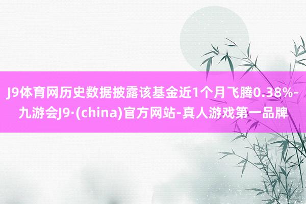 J9体育网历史数据披露该基金近1个月飞腾0.38%-九游会J9·(china)官方网站-真人游戏第一品牌